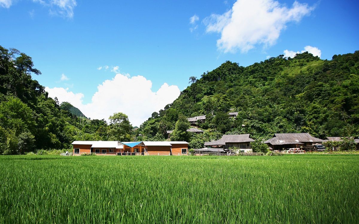 森林中的学校 · 1+1>2 建筑事务所打造独特学习环境-16