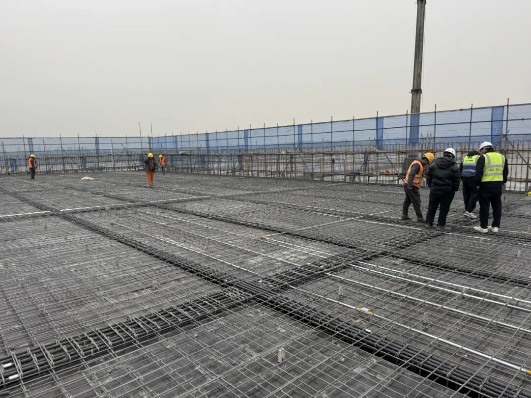 助力“中原出海”！中建八局中欧班列（郑州）集结中心—海关作业区施工总承包项目主体结构全面封顶-40