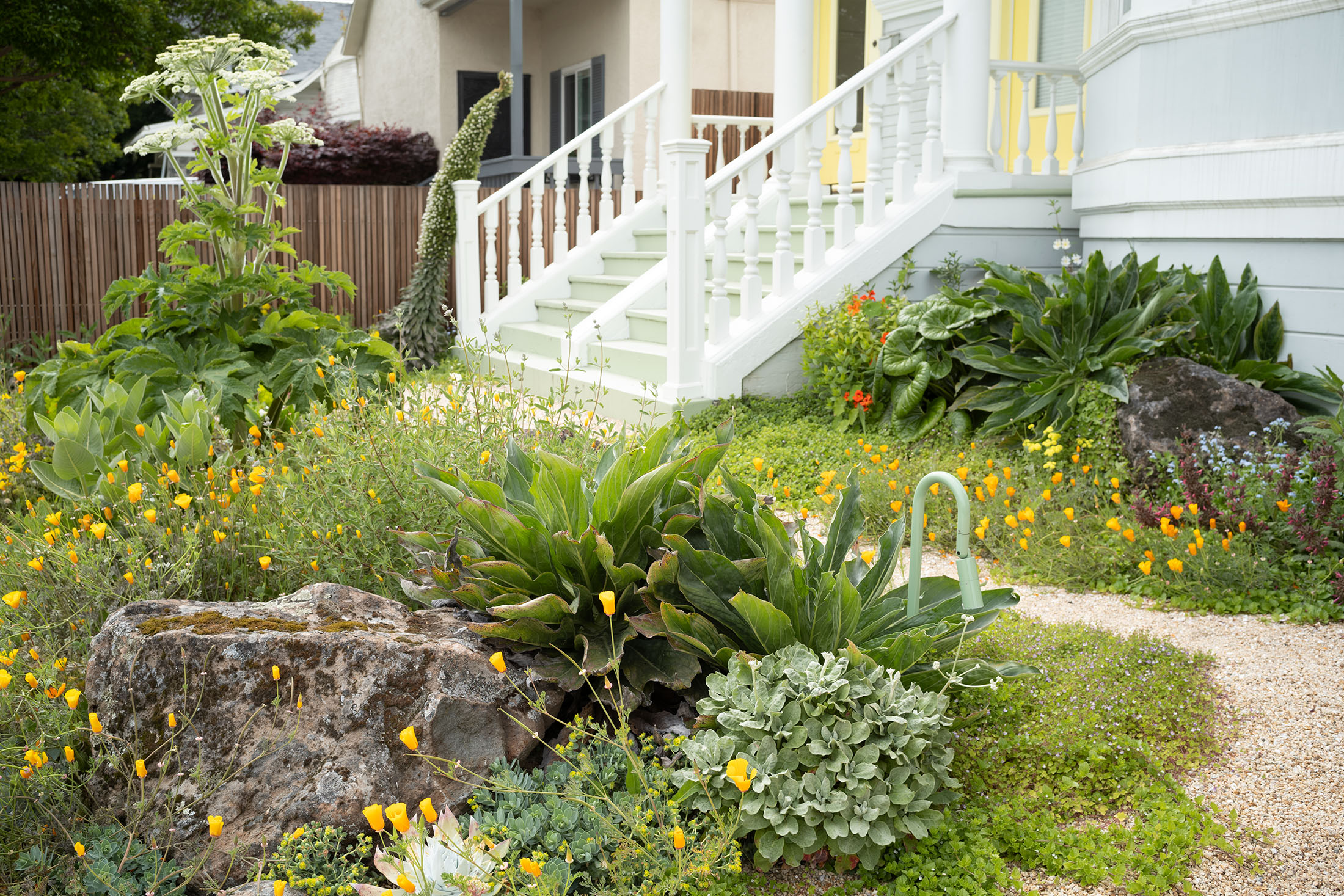 身边风景 | Soft Studio-17