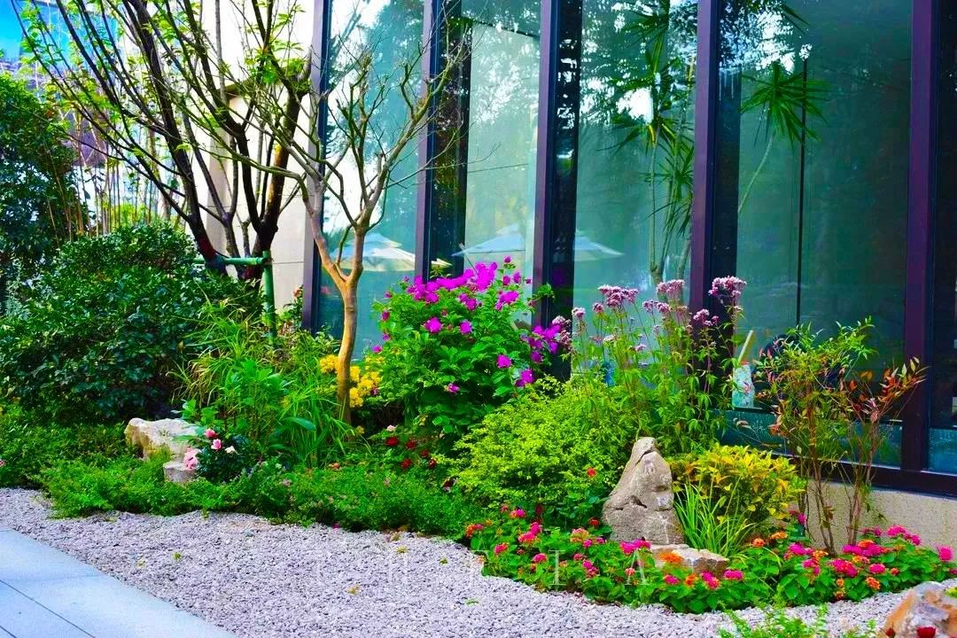 迪赛·东篱 | 闲田信步，采菊东篱-77