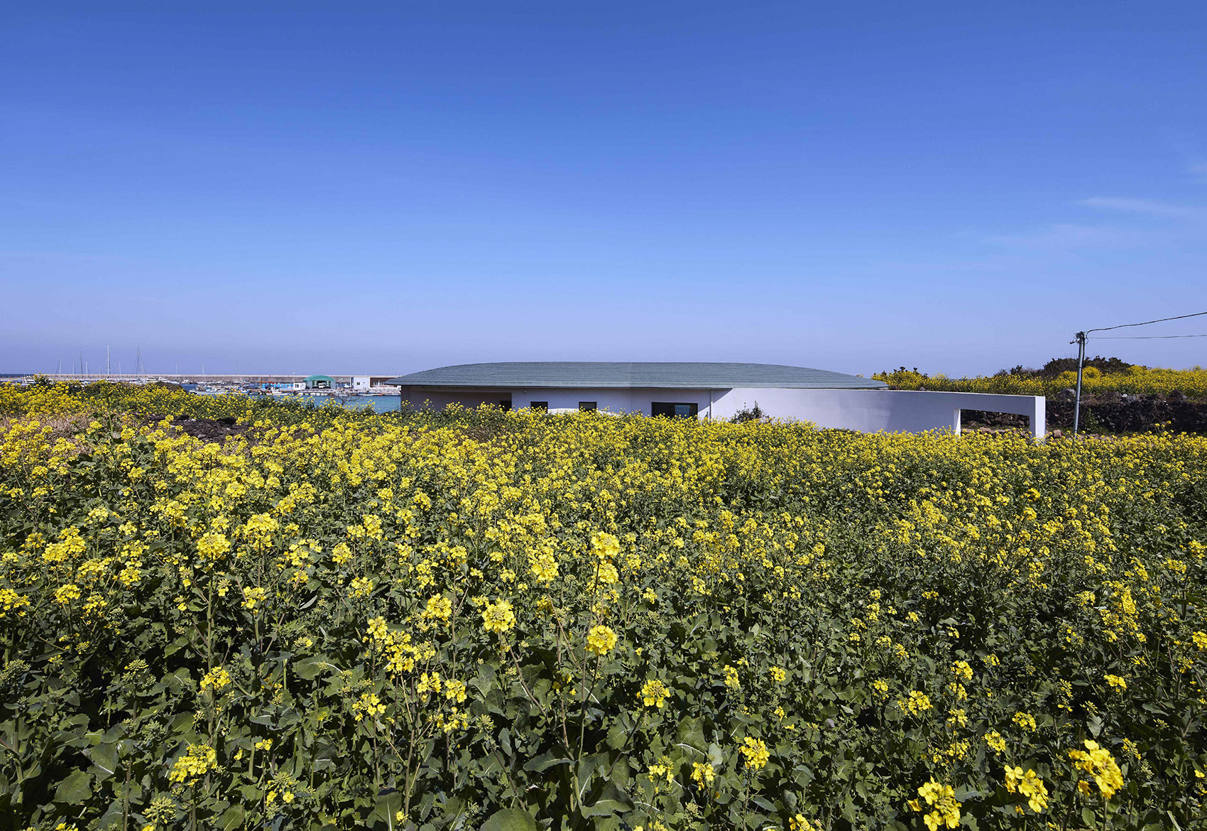 盖亚住宅,济州岛 / studio_GAON-67