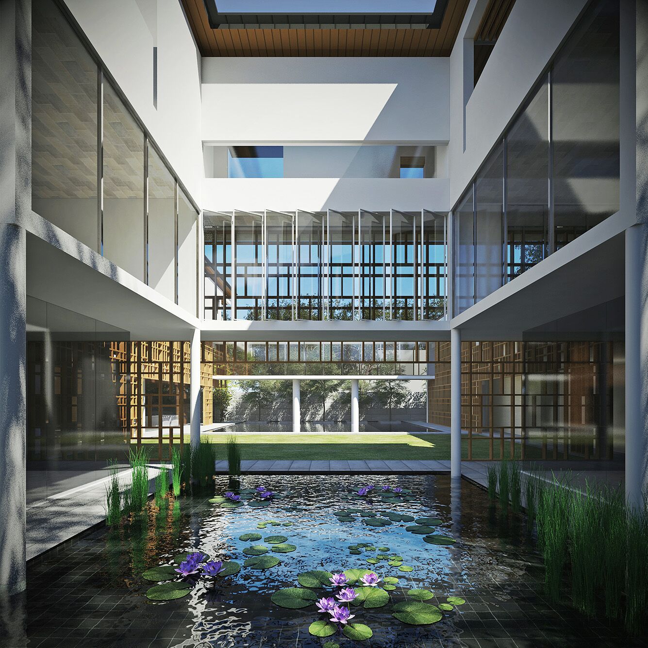 The Courtyard House Brewin Design Office-1