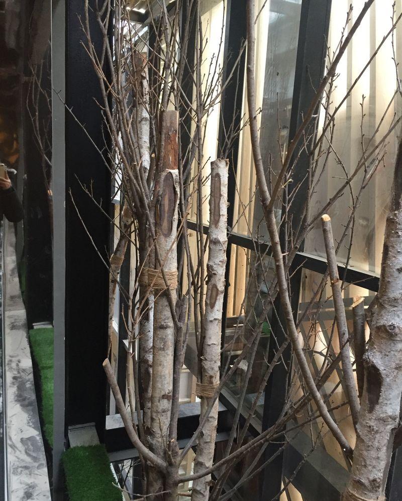 新华书店-仿真植物-7