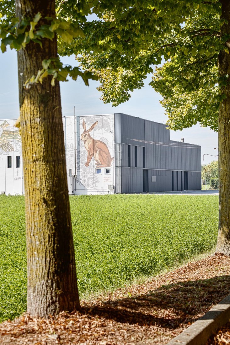 Luzzara保龄球俱乐部改造及多功能厅新建丨意大利-18