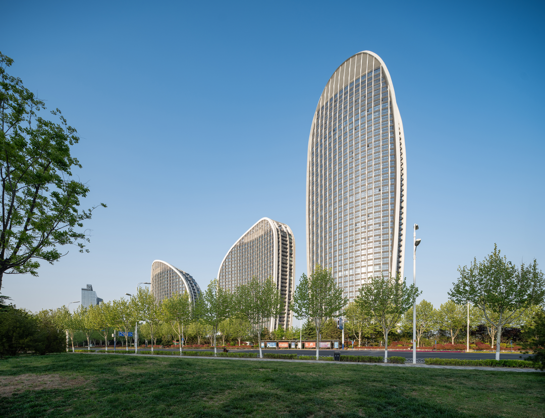 捷报▏青岛海岸线再添新地标！世茂悦海以自然之名，塑写时代美学【实景呈现】-19
