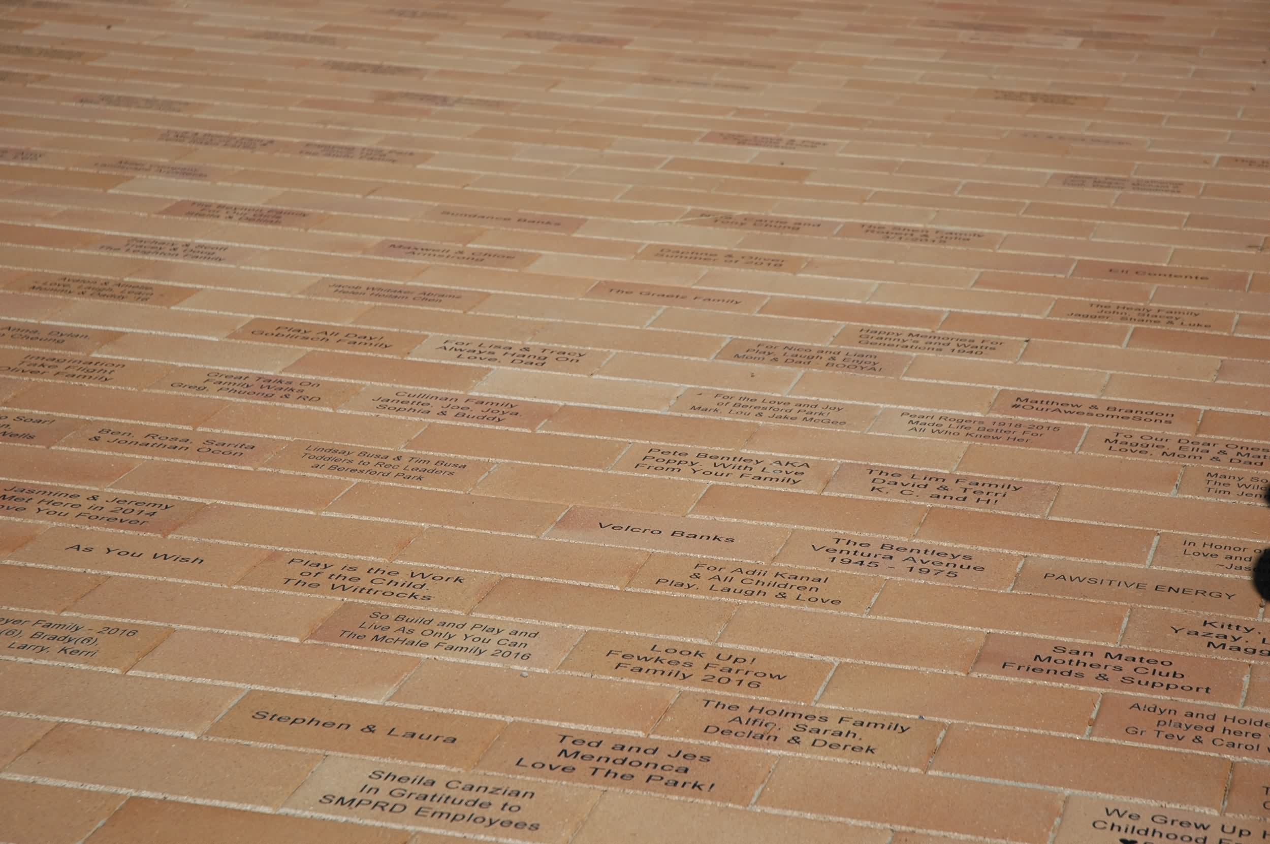 贝雷斯福德儿童公园 Beresford Park by Miller Company-11