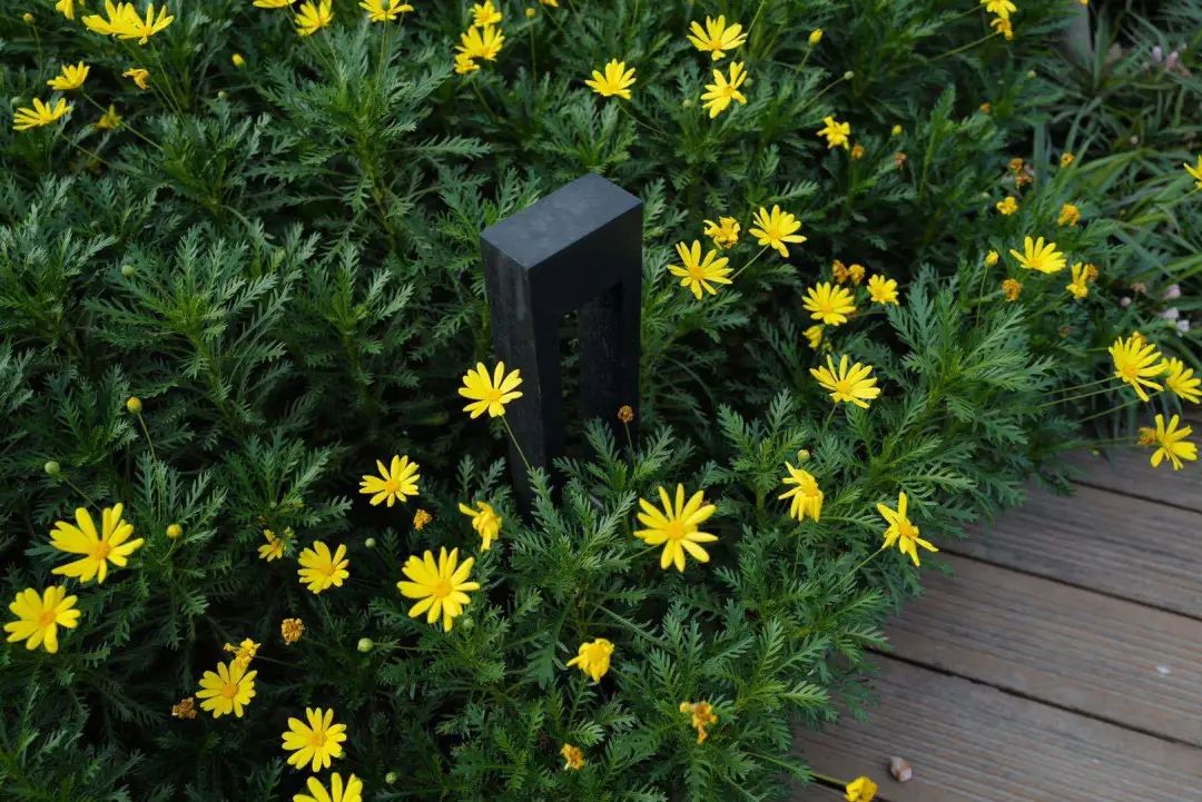 绿色生态虹桥万创中心，打造自然•“家”办公环境-78