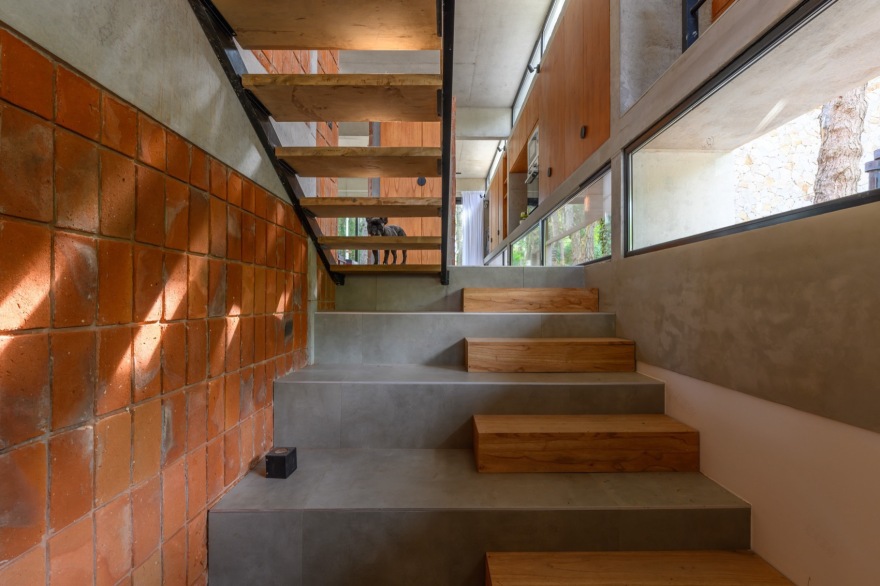 森林果实之家丨阿根廷布宜诺斯艾利斯丨Barrionuevo Villanueva Arquitectos-52