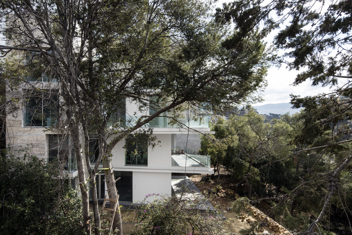 森林中的和谐四重奏·贝鲁特郊区绿色住宅设计-44