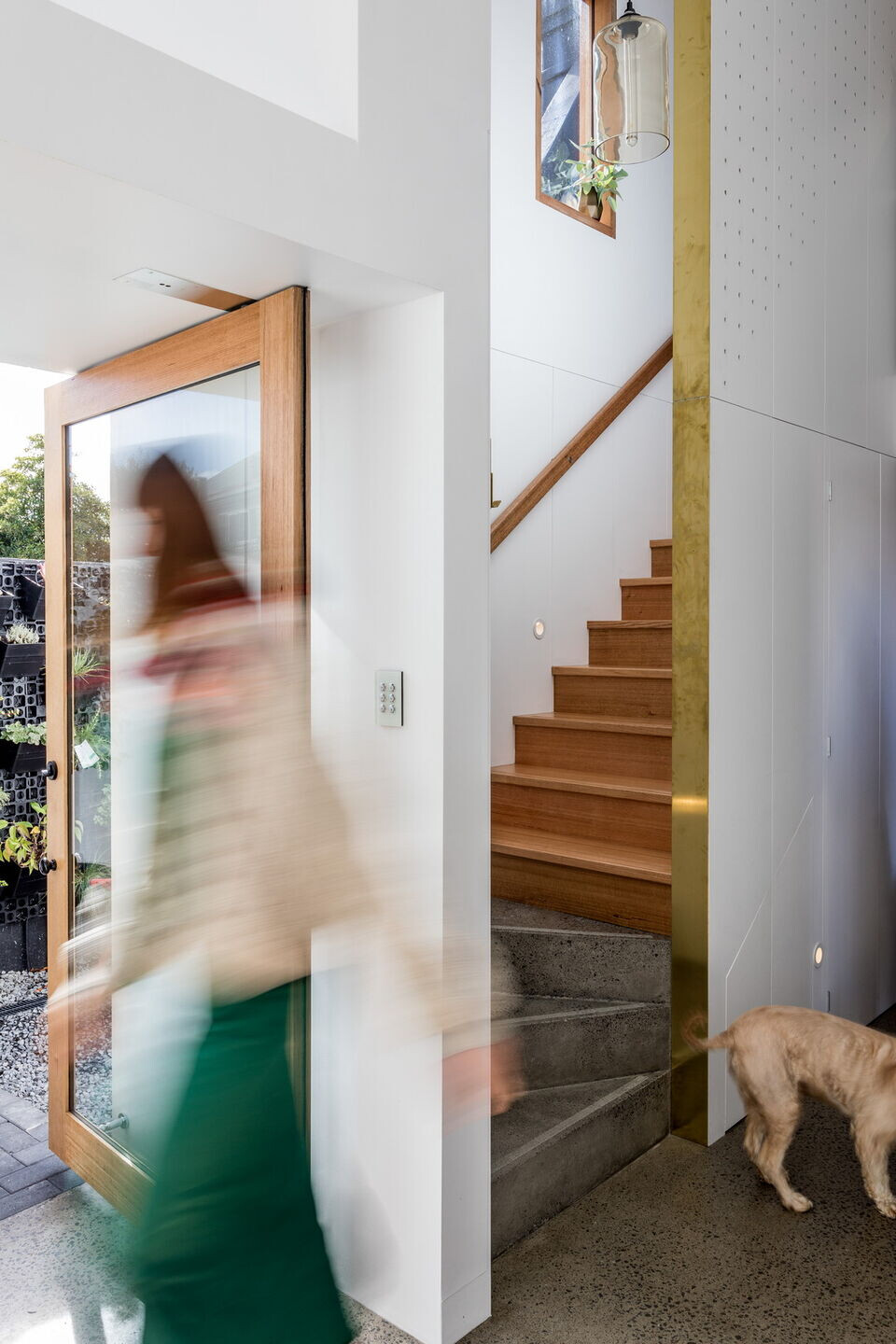 奶爸小屋的蜕变 · 私密与光明的共生-23