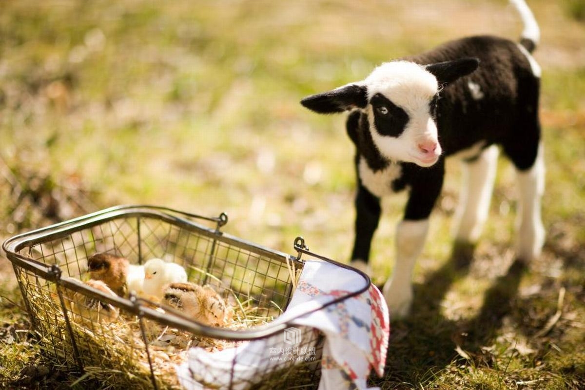 美国田纳西州农庄酒店-94