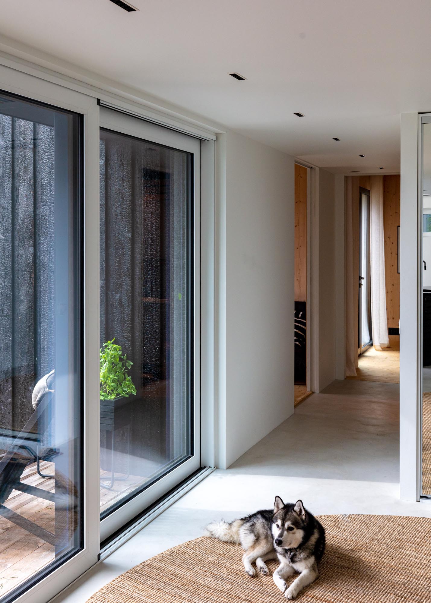 狗与医生之家丨芬兰丨Pirinen Salo Oy-42