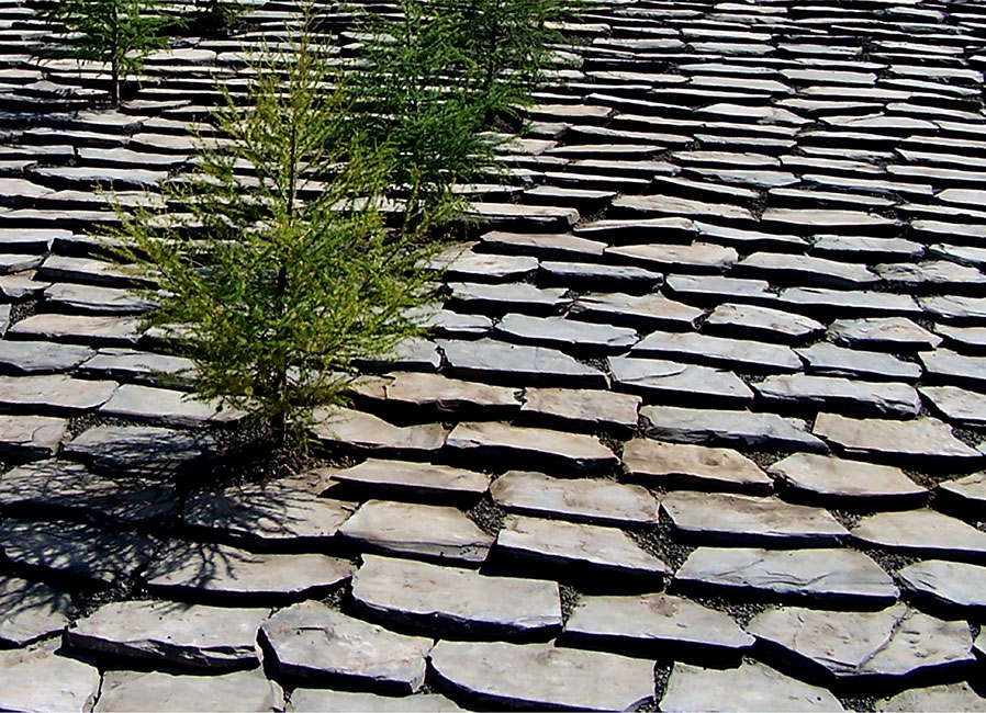 美国 Warroad 陆地港口入境景观设计-2