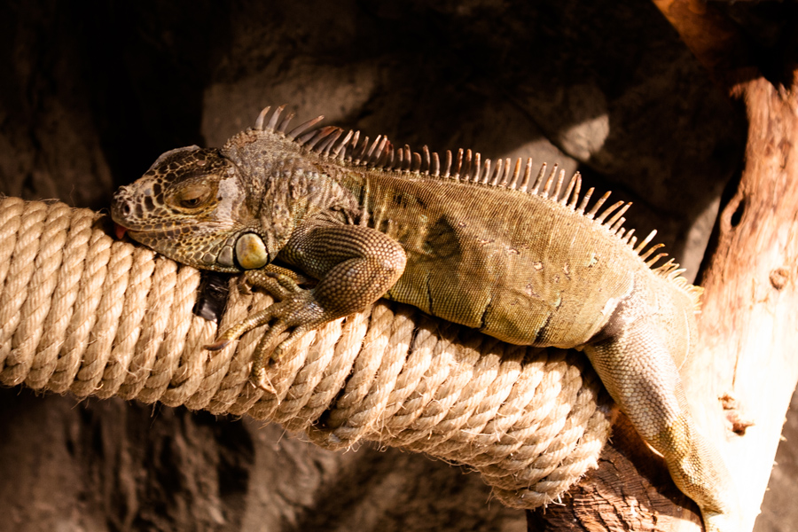 주렁주렁 하남점 인테리어 - 인테리어 디자인 회사 디자인다나함-36