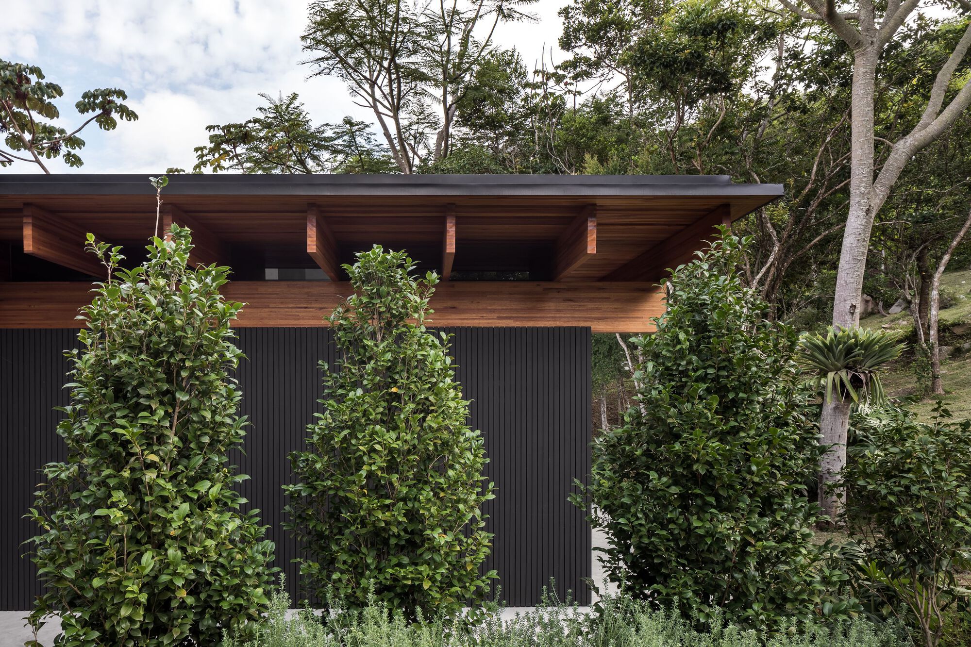 FB 住宅丨巴西丨Jobim Carlevaro Arquitetos-34