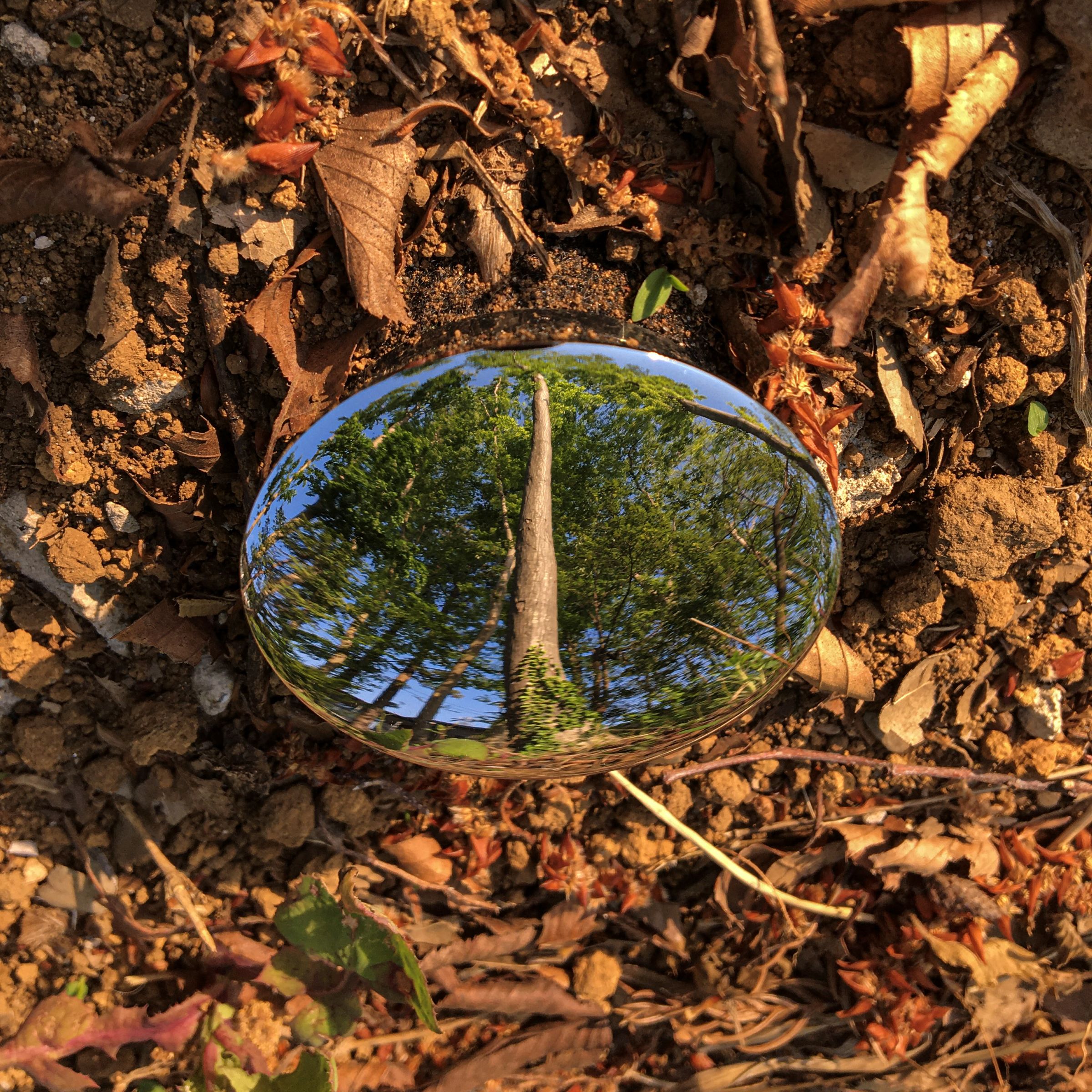 绽放的风 (Bloom no kaze)-23