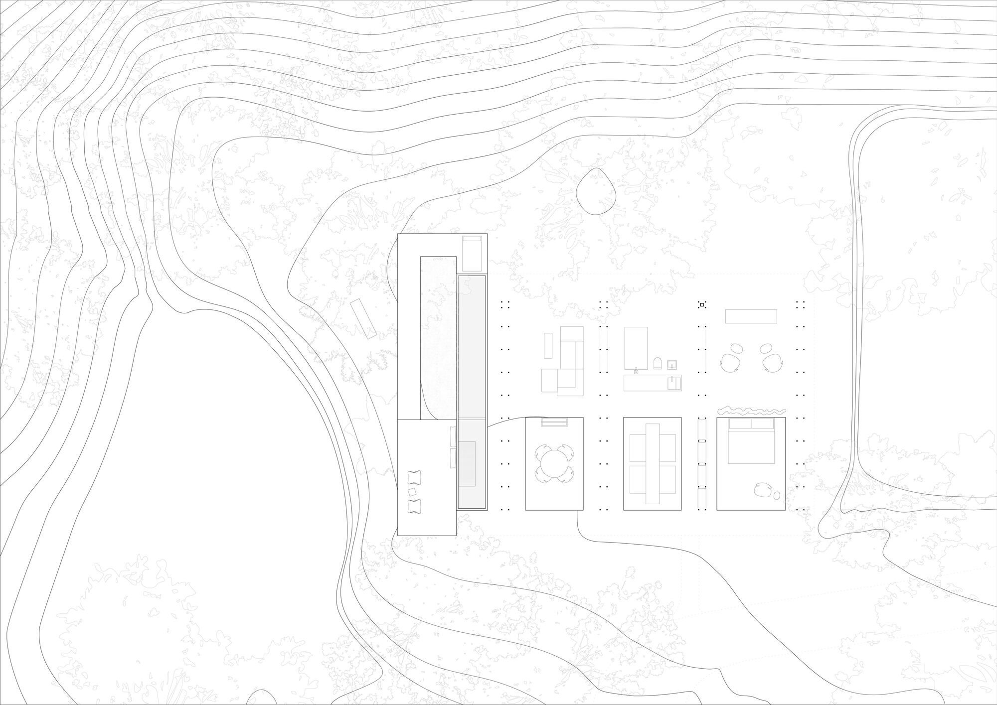 丛林开放日丨哥斯达黎加丨Ksymena Borczynska-10