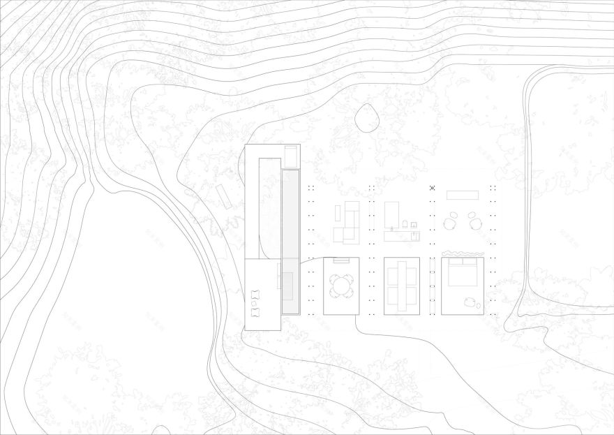 丛林开放日丨哥斯达黎加丨Ksymena Borczynska-10