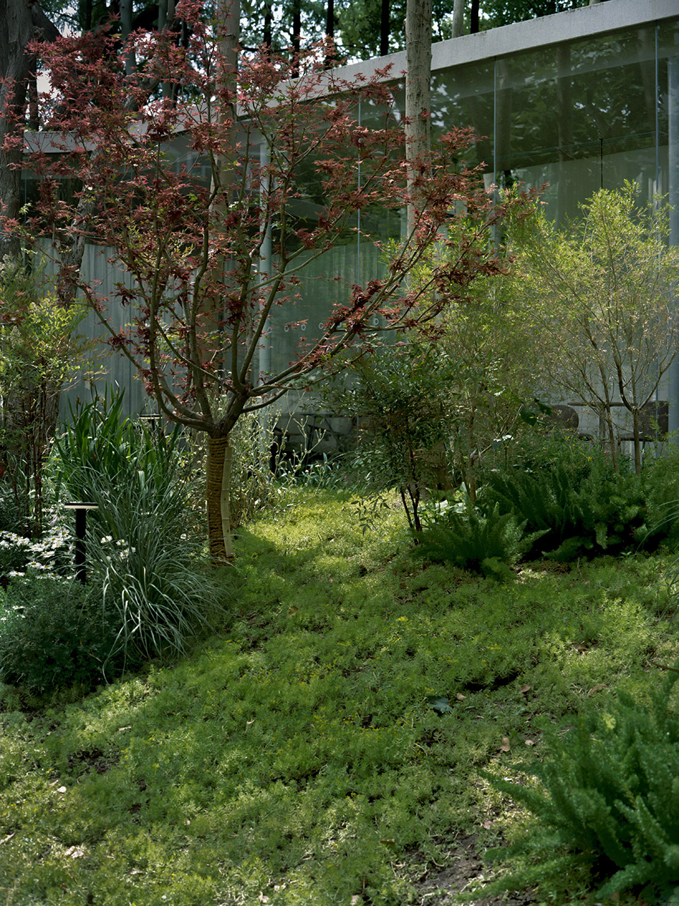 梅园咖啡屋丨中国上海丨Offhand Practice-14