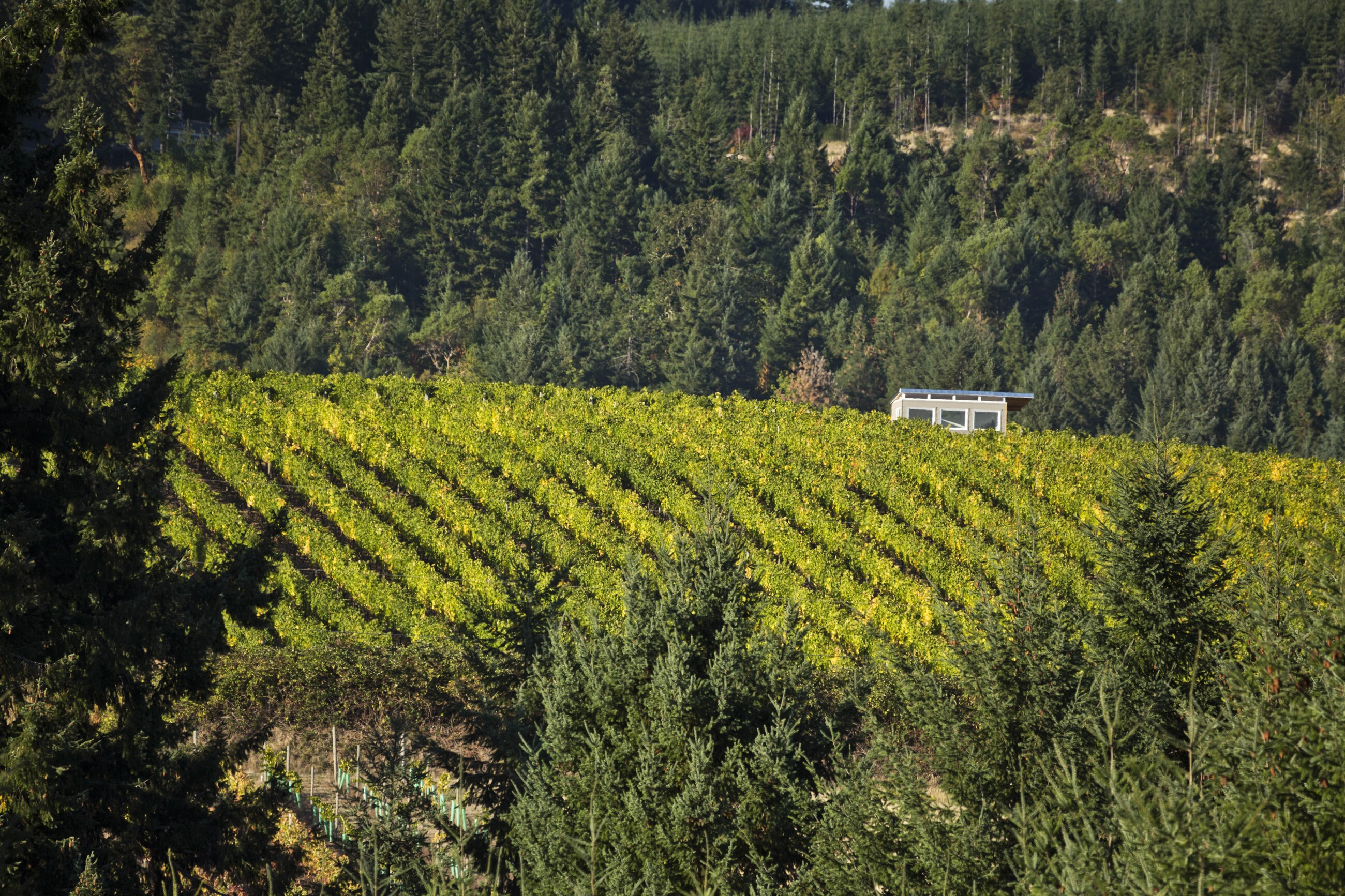 现代室外 | 打造户外生活新概念-14