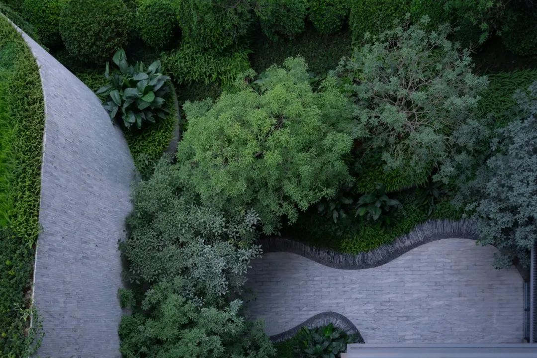 仁恒深圳公园世纪三期丨中国深圳丨TROP景观事务所-41