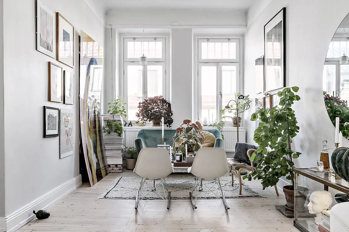 绿植光影，60 平米小公寓的视觉盛宴-1