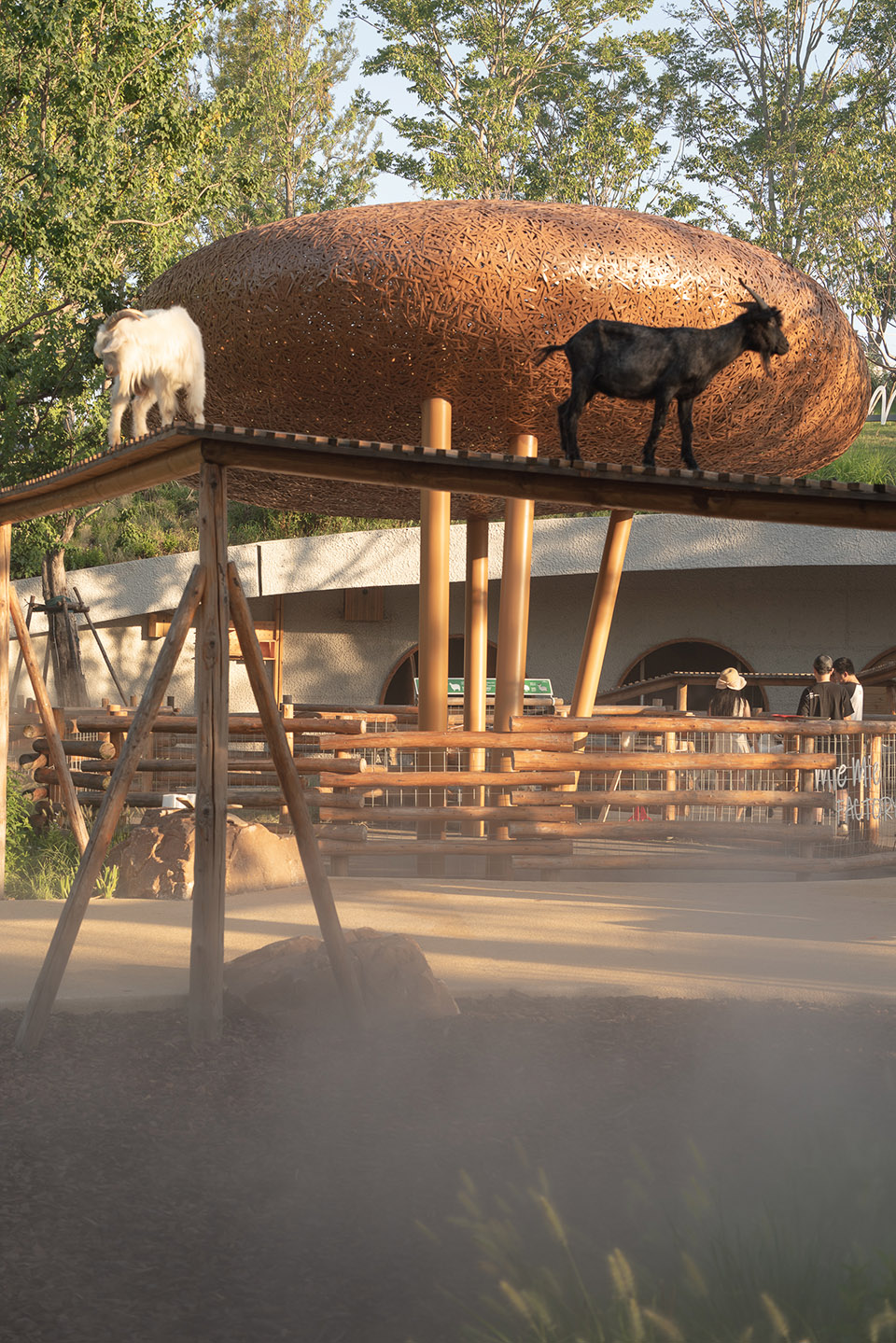 武汉麓客岛动物农场丨中国武汉丨万社设计-59
