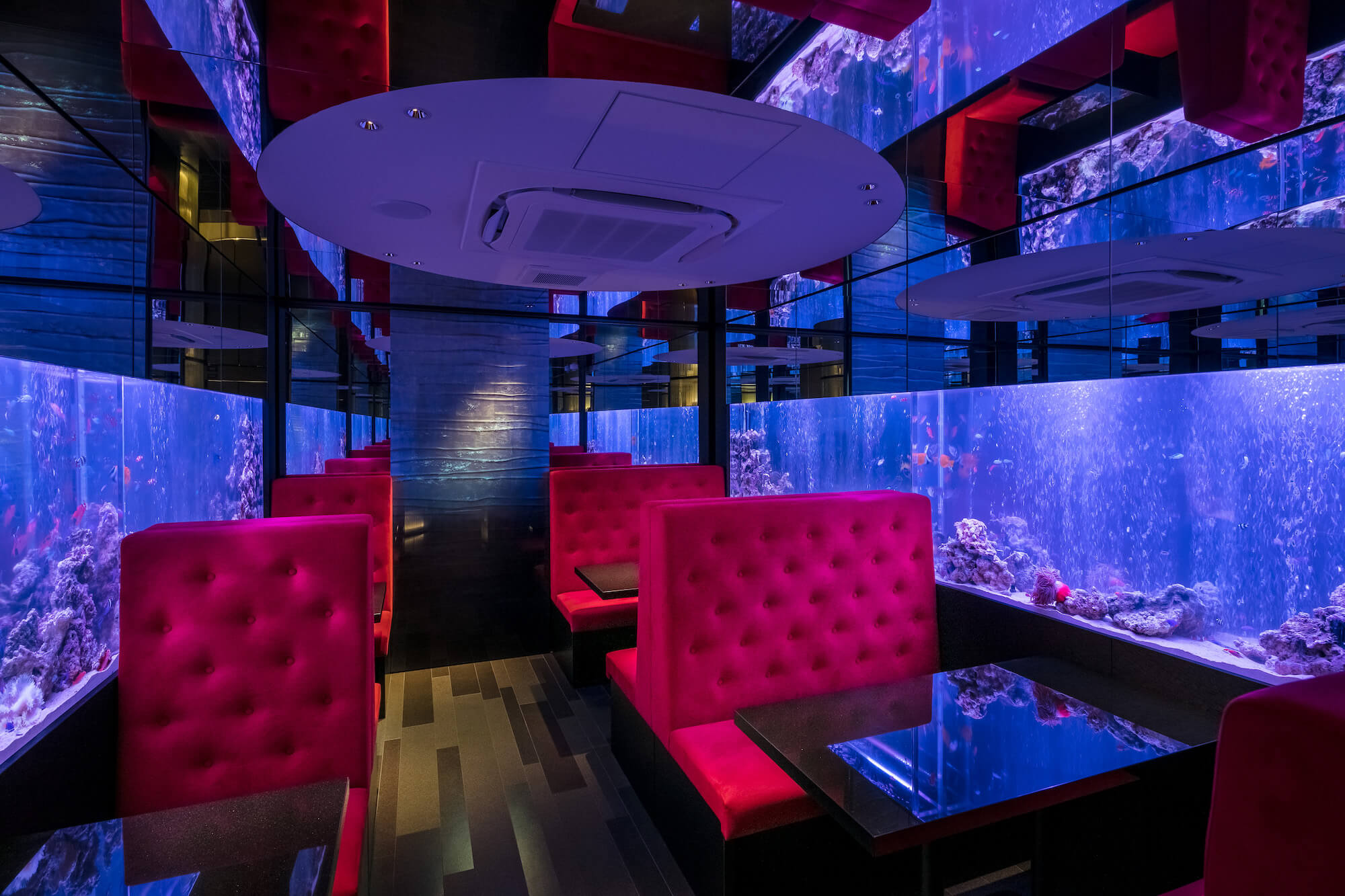 The Parallel Blue-15