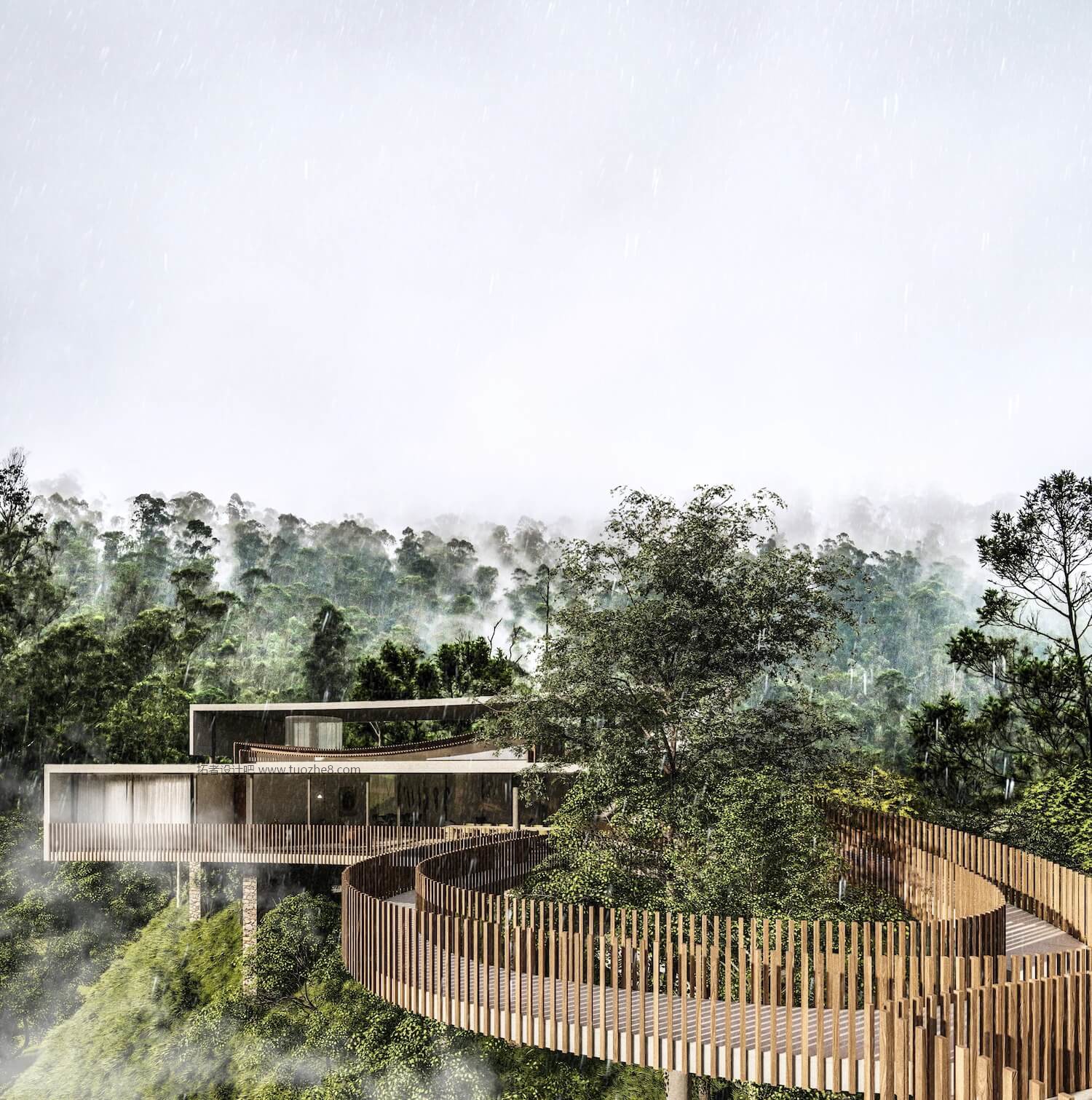 《树上的房子》-1