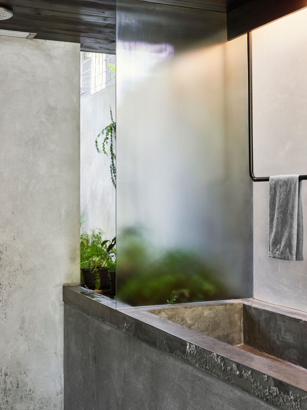 布里斯班自然绿意之家 | 挑空设计++ 超大植物墙-70