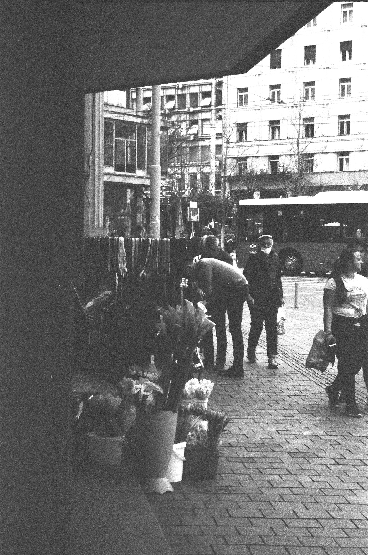 Minolta Dyna· 500si 摄影作品赏析-12