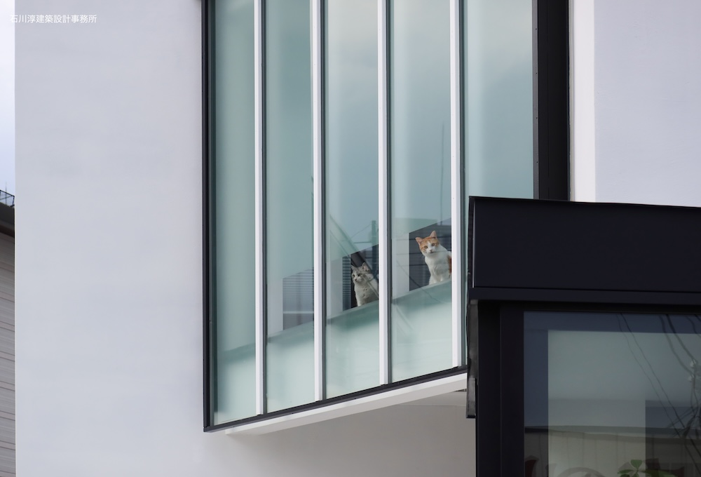 猫も通勤・事務所併用住宅OUCHI  48丨日本福岛丨石川淳建築設計事務所-24