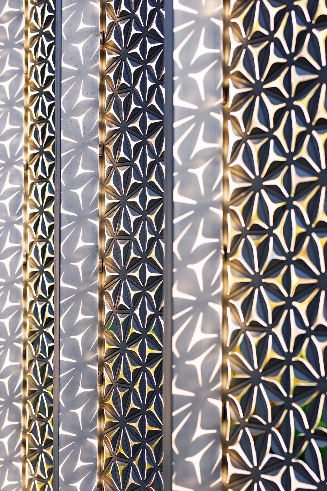 极致永恒的国际东方：演绎气质非凡的艺术境界-4