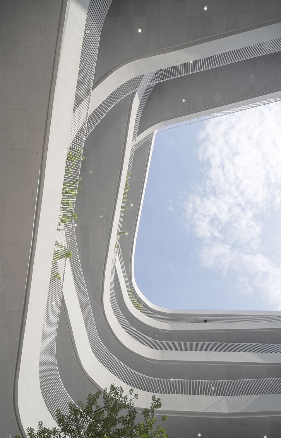 红岭实验小学-89