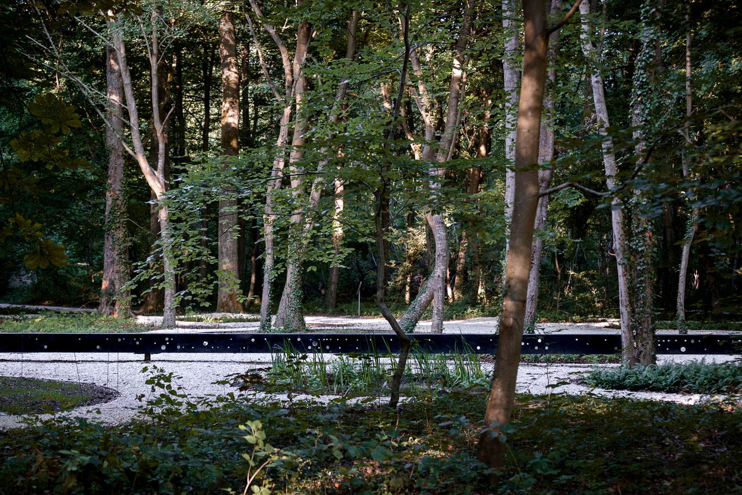 和平之园 · 一战遗址上的艺术冥想空间-7