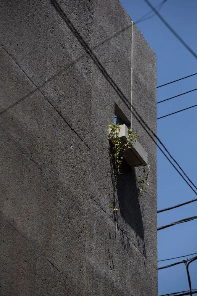 东京混凝土住宅丨日本东京丨GGH 设计机构-45