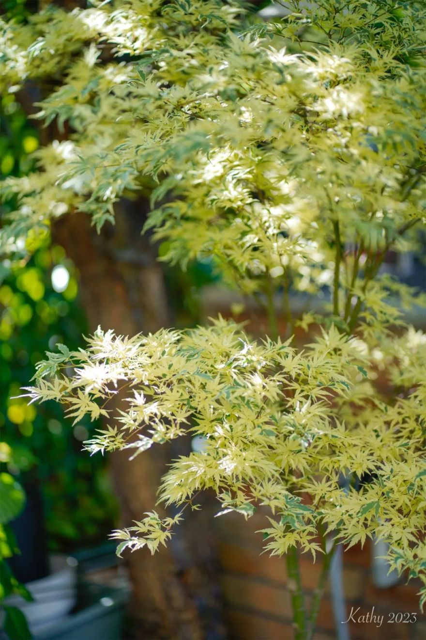 一米花园丨中国上海丨专业设计团队-77