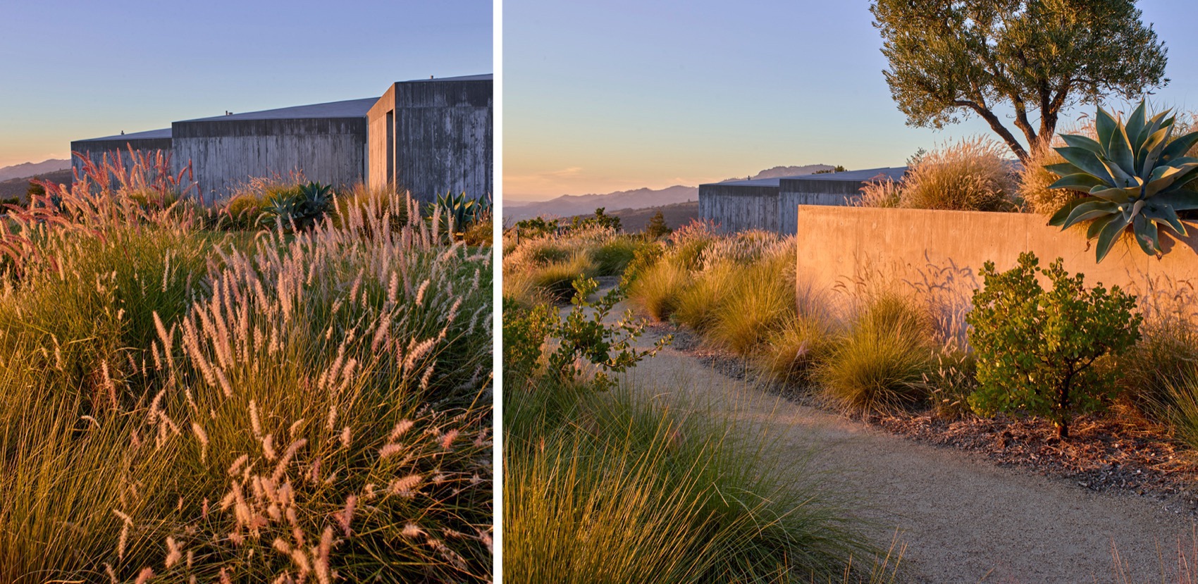 三岔路住宅丨美国加利福尼亚丨Surfacedesign,Inc.-23