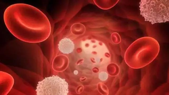 《Science》公布的 125 个最具挑战性的科学问题,你感兴趣的是哪个?-160