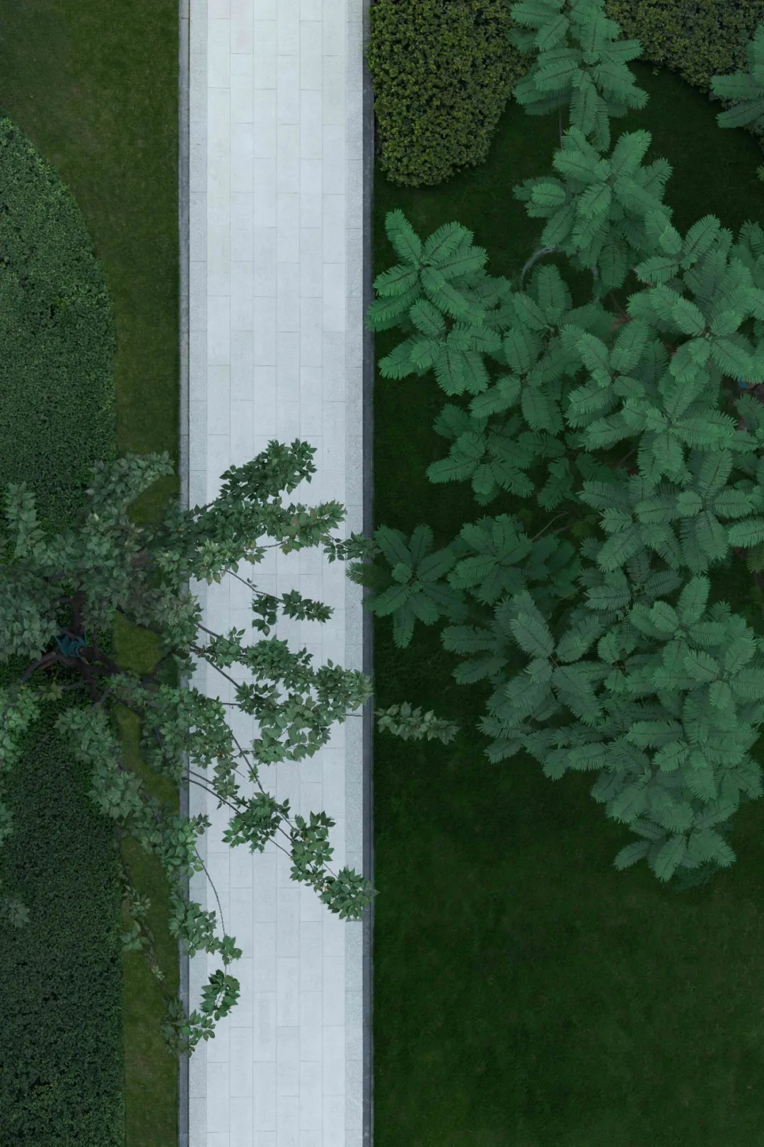 【案例分享】大区景观  成都武侯金茂府-3