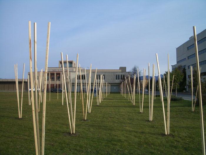 安克雷奇博物馆公共景观-43