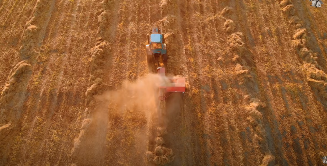 90后妈妈带家人住进森林别墅丨德国丨Thuy Dao和老公T-23