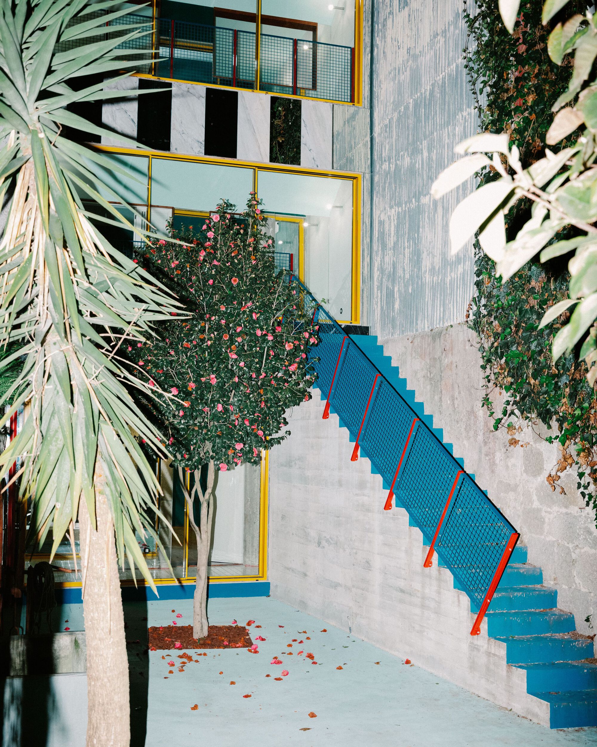 说明室，法拉力 171（这里fala不太明确具体所指，如果是特定术语可能翻译不准确，若fala拼写有误请检查原文） 丨葡萄牙波尔图-22