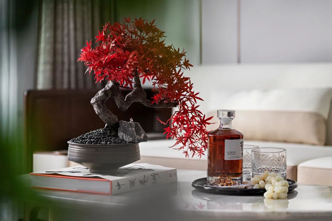 颐安·颐峰名庭 02 户型样板房丨中国深圳丨戴勇设计研究室-21