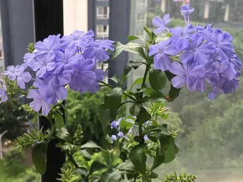 极简轻奢,重构生活美学丨星艺装饰广州总部-19