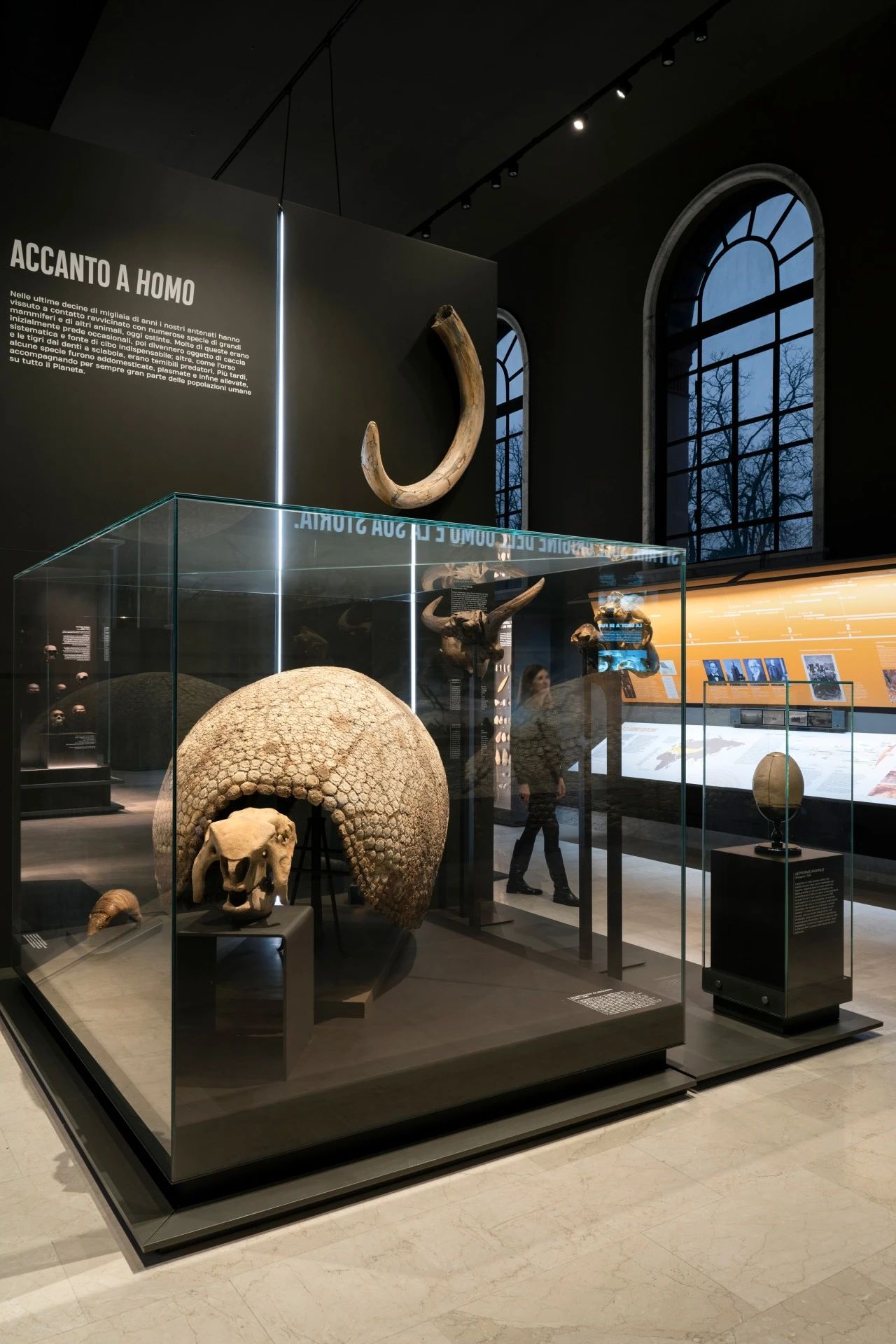 米兰自然故事博物馆(第九展厅)丨意大利米兰丨意大利 Migliore Servetto 设计工作室-25