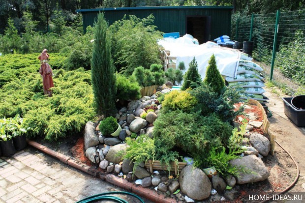 自制阿尔卑斯式假山（阿尔卑斯式花坛）-114