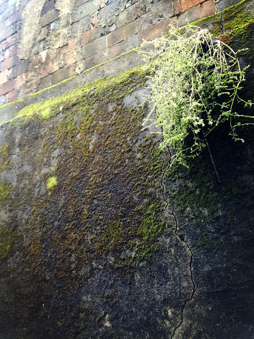 小溪家,福鼎市太姥山 / WEI建筑设计-98
