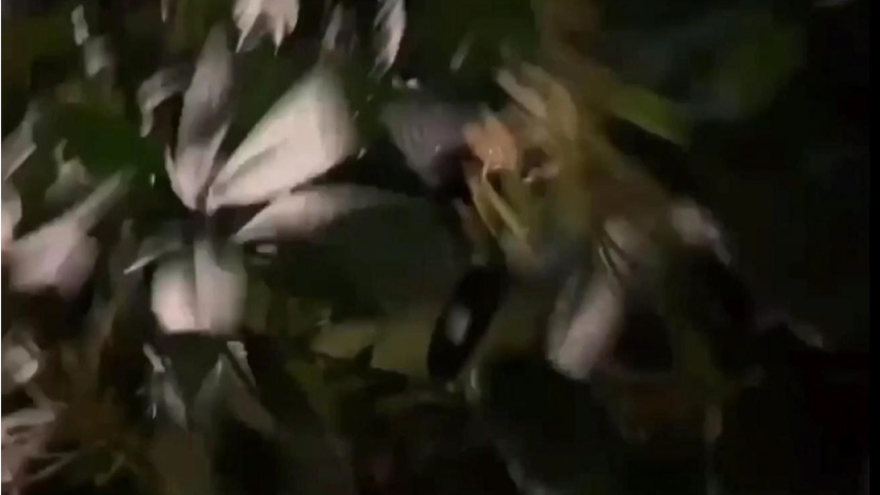 赋能未来创业者-14