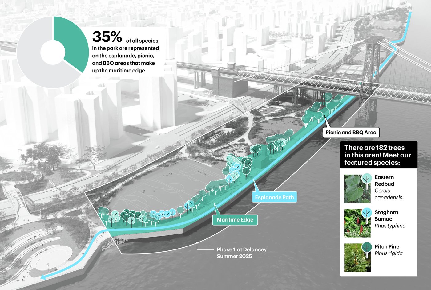 东河公园一期丨United StatesNew York丨MNLA,AKRF + KSE等多家机构-50